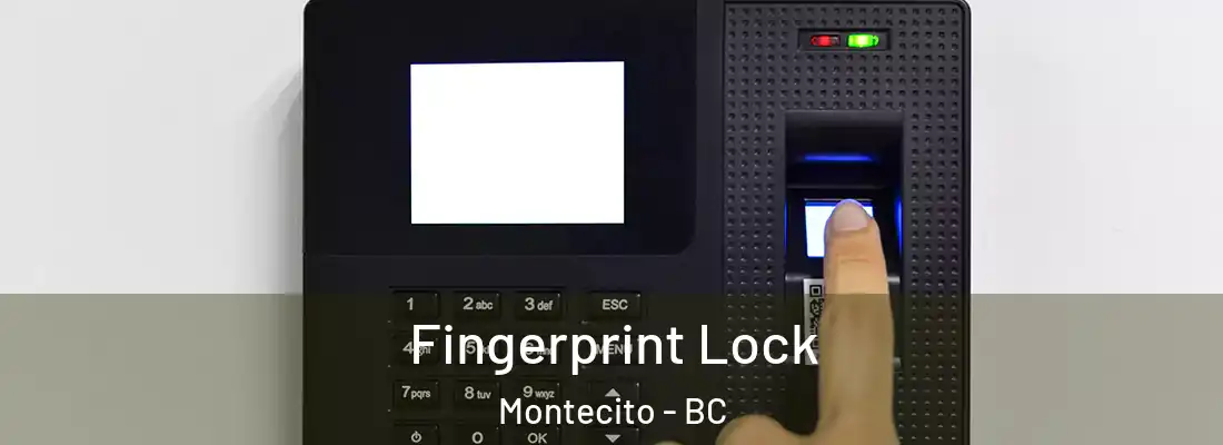  Fingerprint Lock Montecito - BC