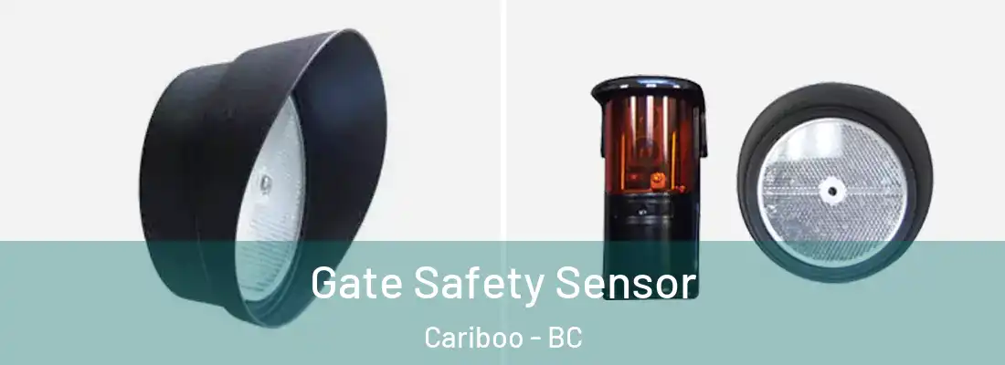  Gate Safety Sensor Cariboo - BC