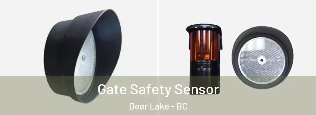  Gate Safety Sensor Deer Lake - BC