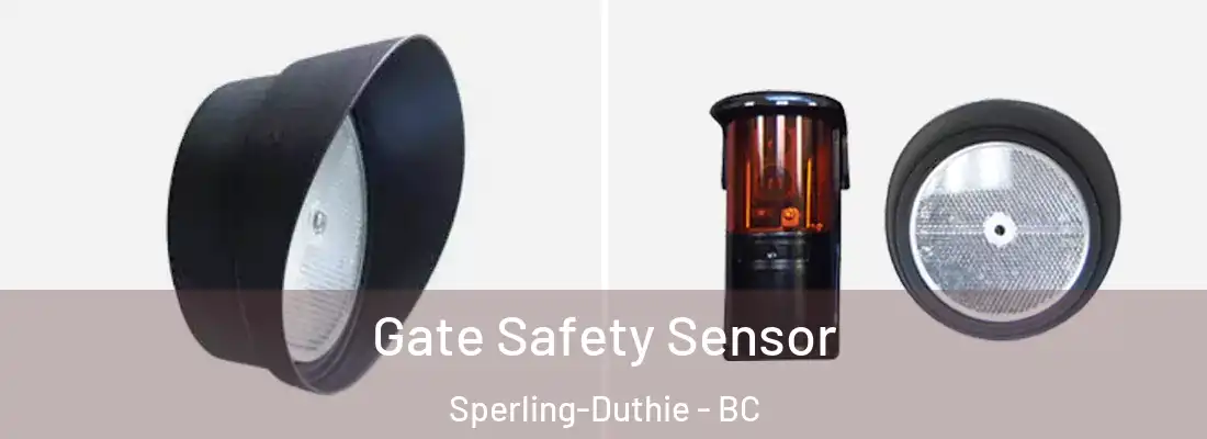  Gate Safety Sensor Sperling-Duthie - BC