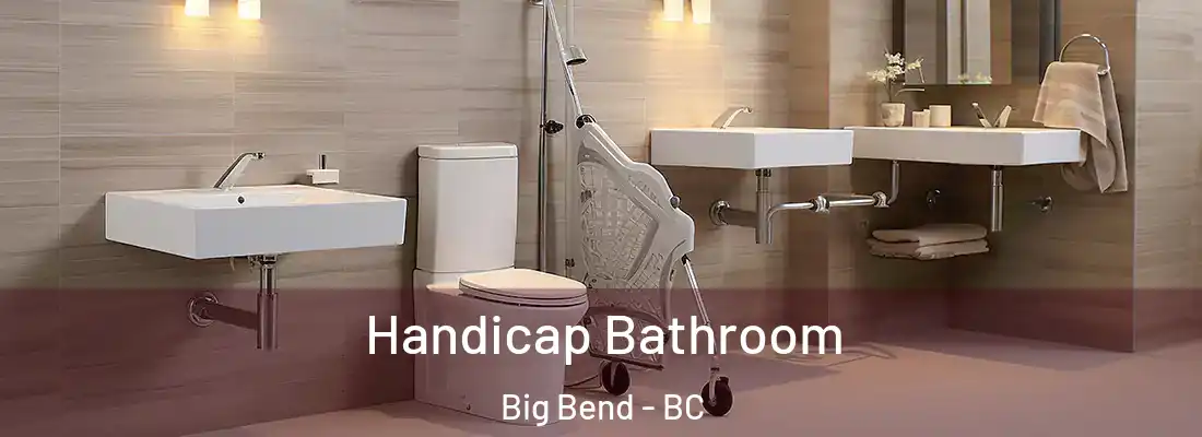  Handicap Bathroom Big Bend - BC