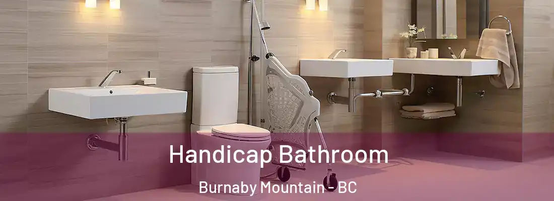  Handicap Bathroom Burnaby Mountain - BC