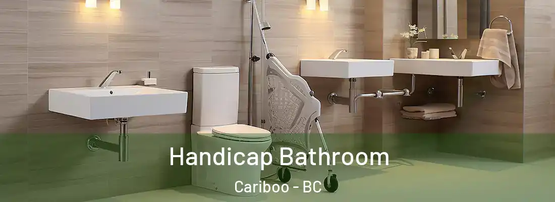  Handicap Bathroom Cariboo - BC