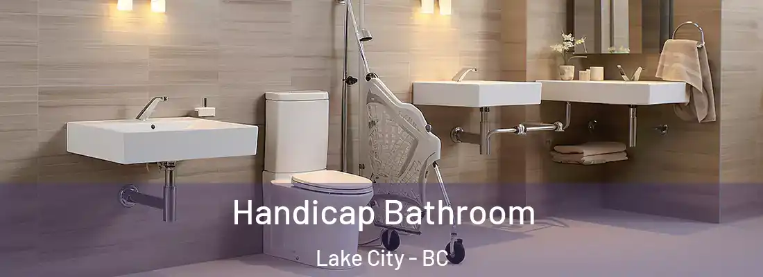  Handicap Bathroom Lake City - BC