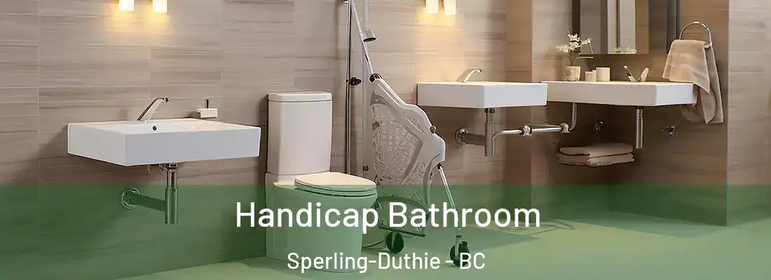  Handicap Bathroom Sperling-Duthie - BC