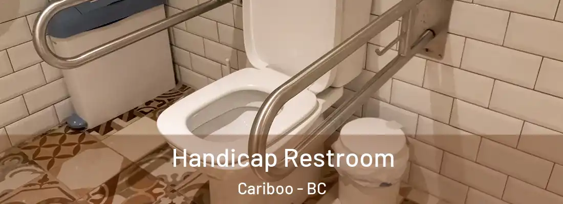  Handicap Restroom Cariboo - BC