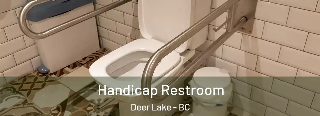  Handicap Restroom Deer Lake - BC