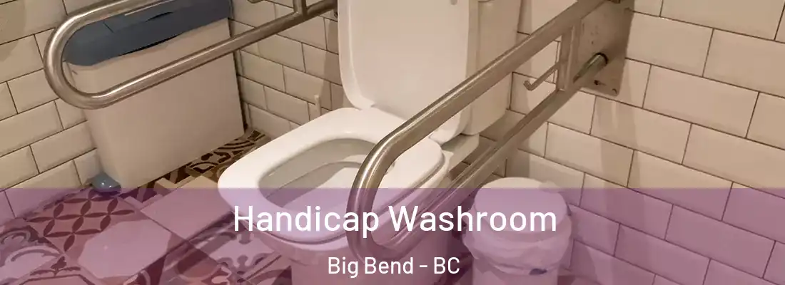  Handicap Washroom Big Bend - BC