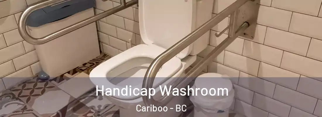 Handicap Washroom Cariboo - BC