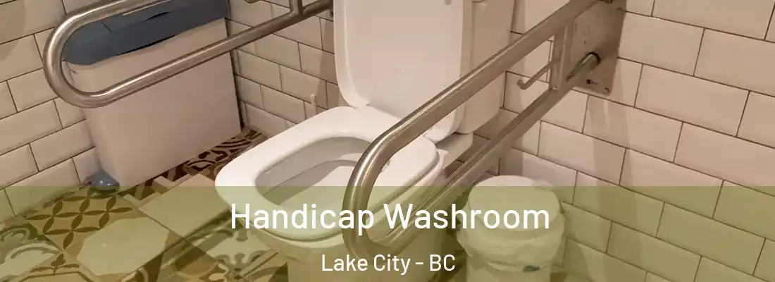  Handicap Washroom Lake City - BC