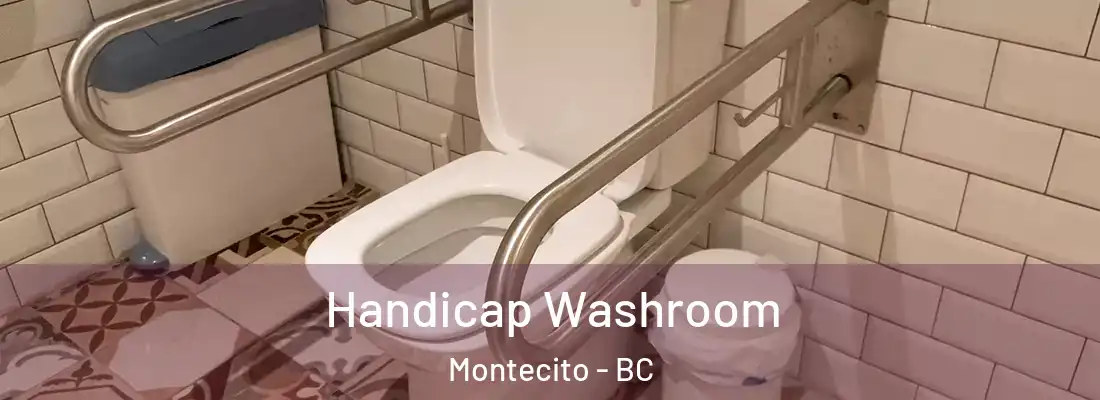  Handicap Washroom Montecito - BC