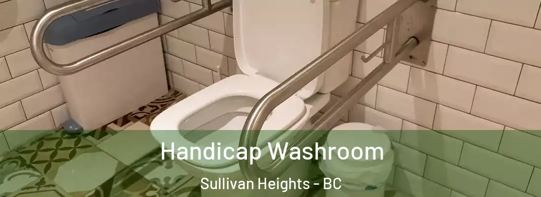  Handicap Washroom Sullivan Heights - BC