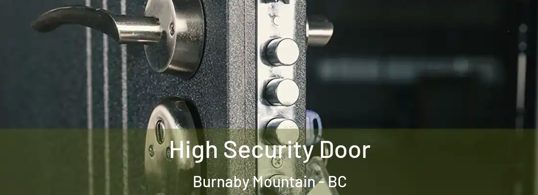  High Security Door Burnaby Mountain - BC