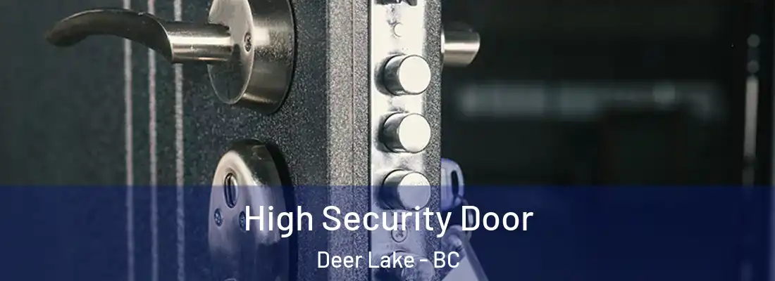  High Security Door Deer Lake - BC