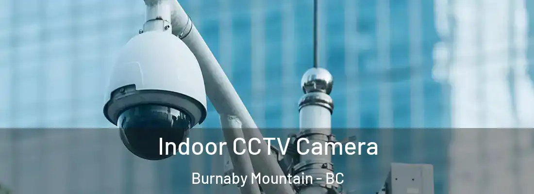  Indoor CCTV Camera Burnaby Mountain - BC