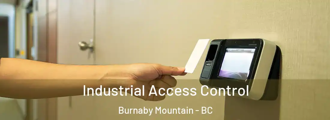  Industrial Access Control Burnaby Mountain - BC