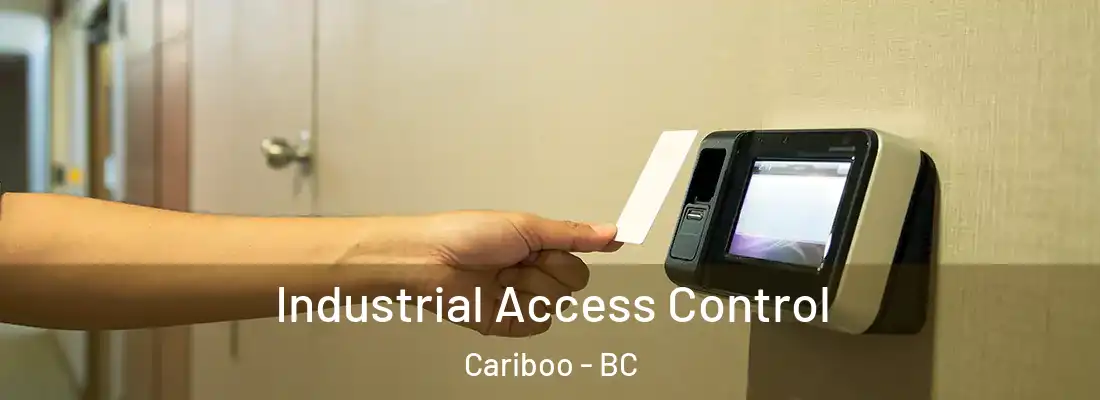  Industrial Access Control Cariboo - BC