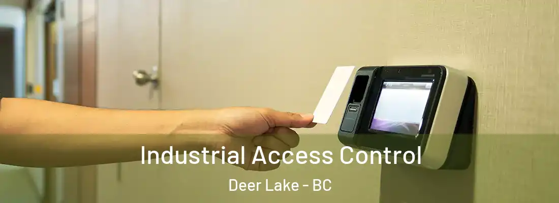  Industrial Access Control Deer Lake - BC