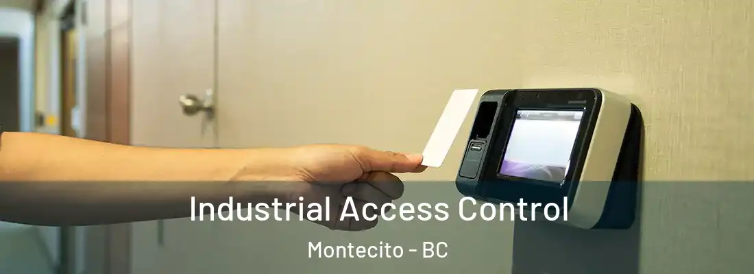  Industrial Access Control Montecito - BC