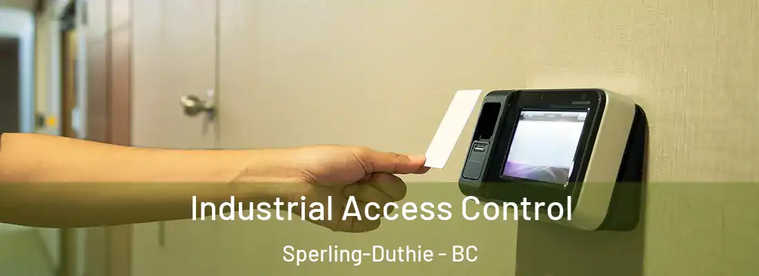  Industrial Access Control Sperling-Duthie - BC