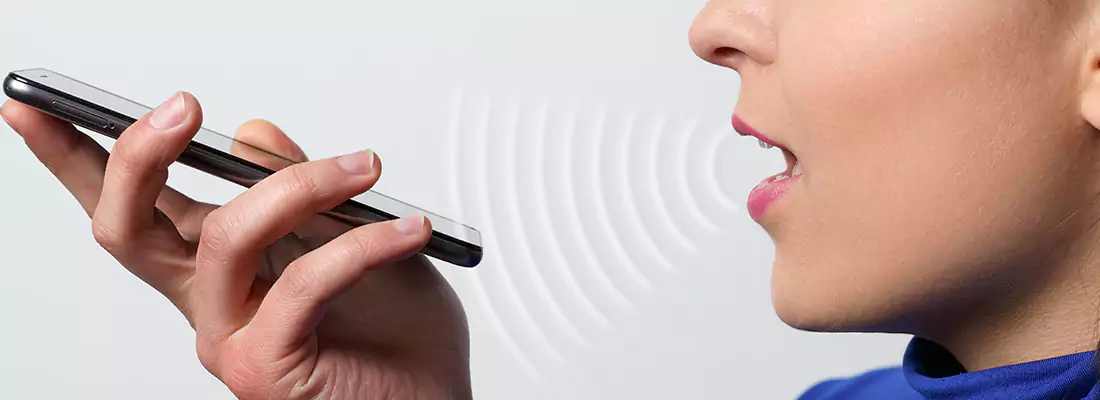 Residential and Commercial Voice Recognition Access Solutions in Burnaby, BC