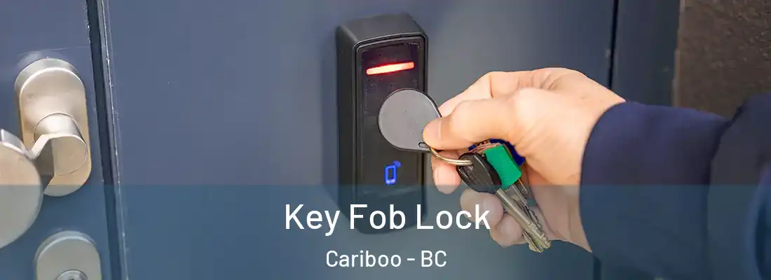  Key Fob Lock Cariboo - BC