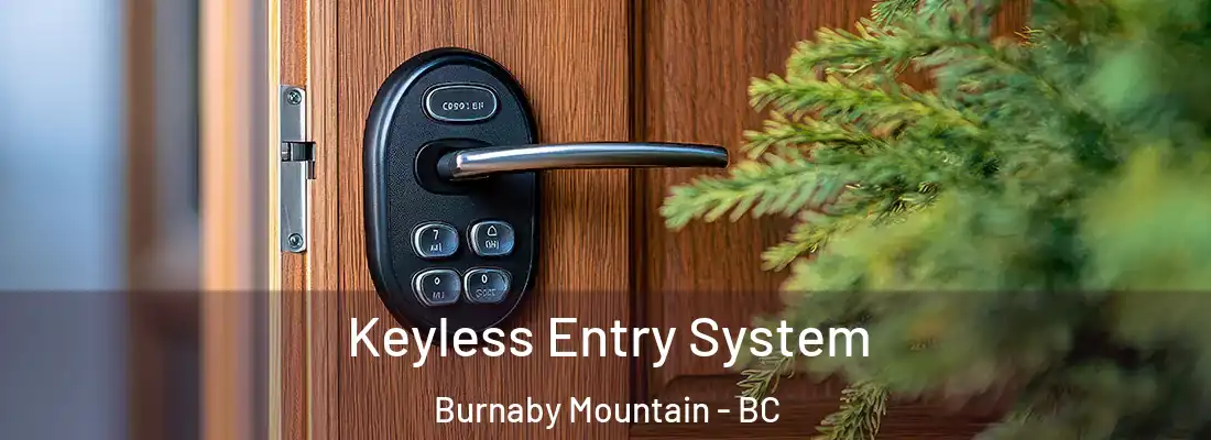  Keyless Entry System Burnaby Mountain - BC