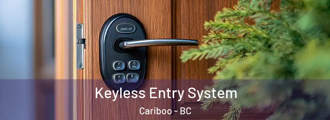  Keyless Entry System Cariboo - BC