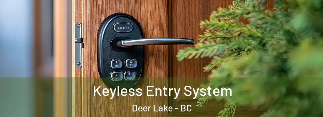  Keyless Entry System Deer Lake - BC