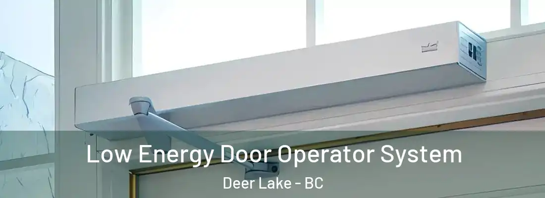  Low Energy Door Operator System Deer Lake - BC