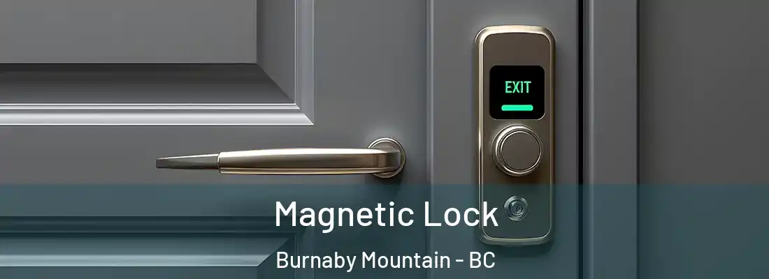  Magnetic Lock Burnaby Mountain - BC