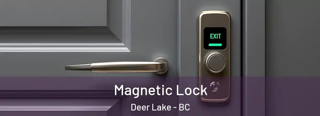  Magnetic Lock Deer Lake - BC
