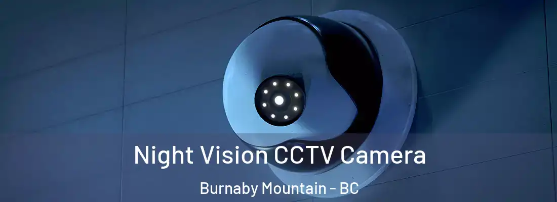  Night Vision CCTV Camera Burnaby Mountain - BC