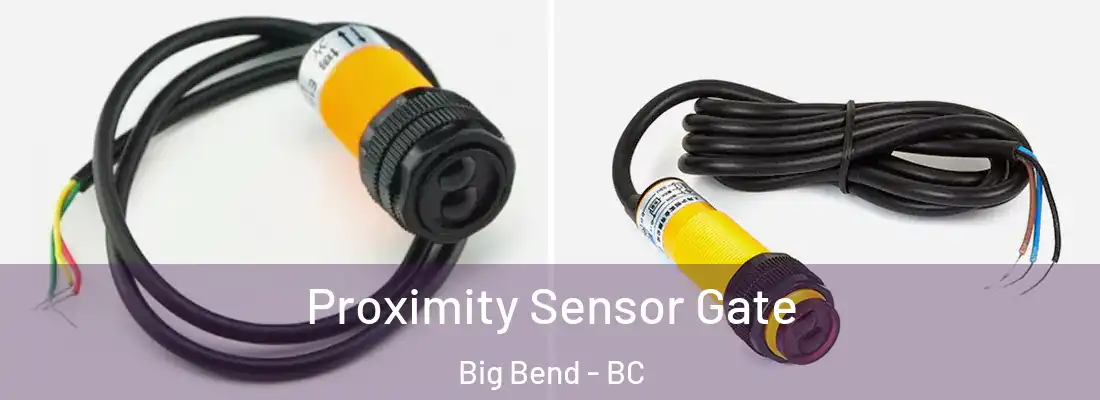  Proximity Sensor Gate Big Bend - BC
