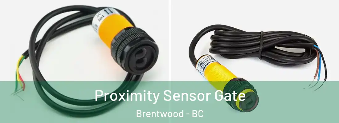  Proximity Sensor Gate Brentwood - BC