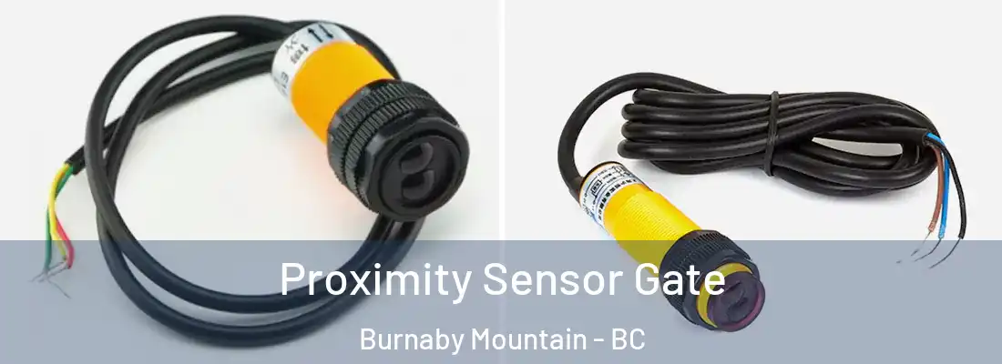  Proximity Sensor Gate Burnaby Mountain - BC