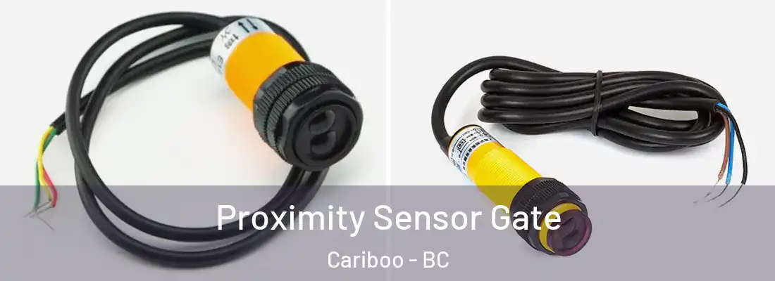  Proximity Sensor Gate Cariboo - BC