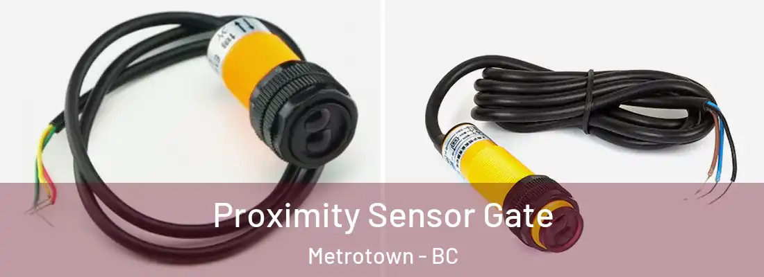  Proximity Sensor Gate Metrotown - BC