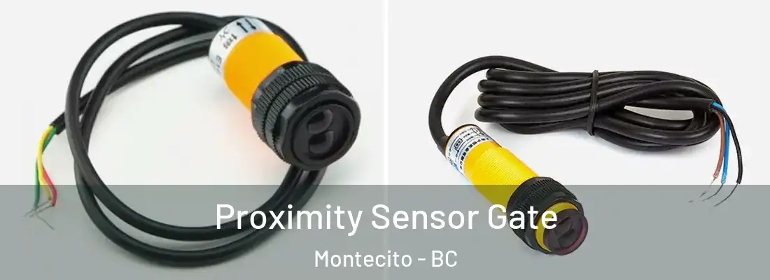  Proximity Sensor Gate Montecito - BC