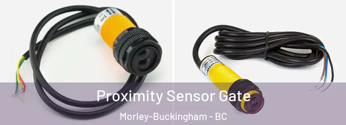  Proximity Sensor Gate Morley-Buckingham - BC