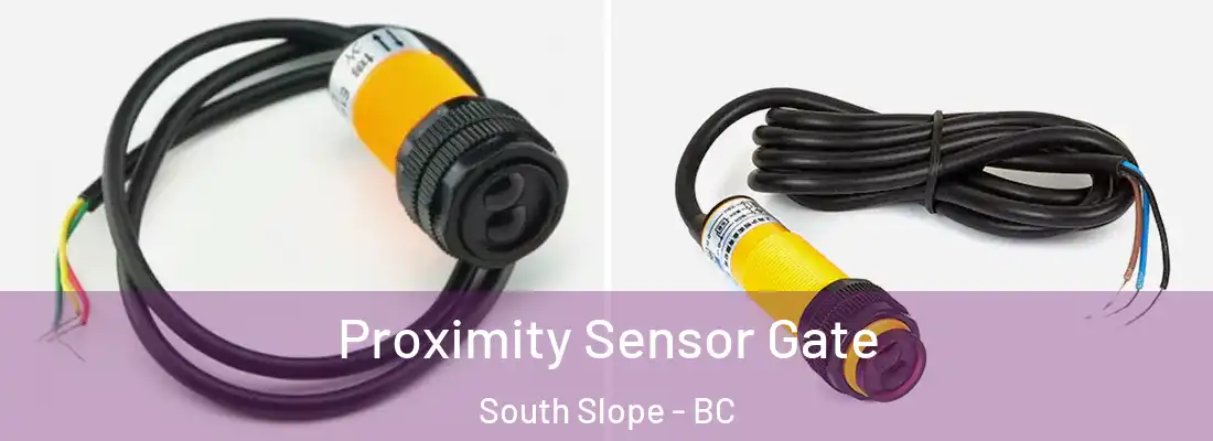  Proximity Sensor Gate South Slope - BC