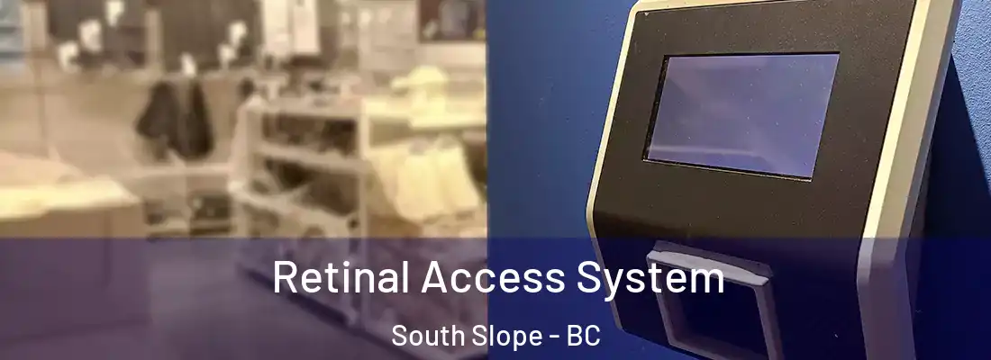  Retinal Access System South Slope - BC