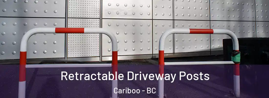  Retractable Driveway Posts Cariboo - BC