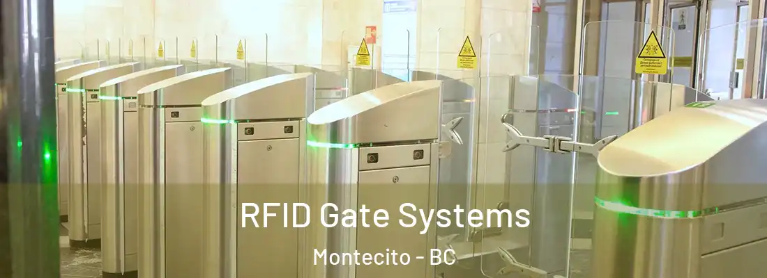  RFID Gate Systems Montecito - BC