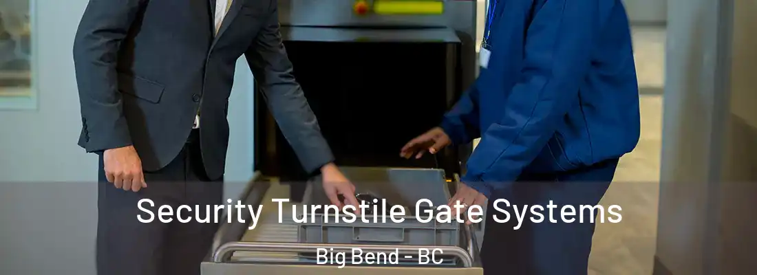  Security Turnstile Gate Systems Big Bend - BC
