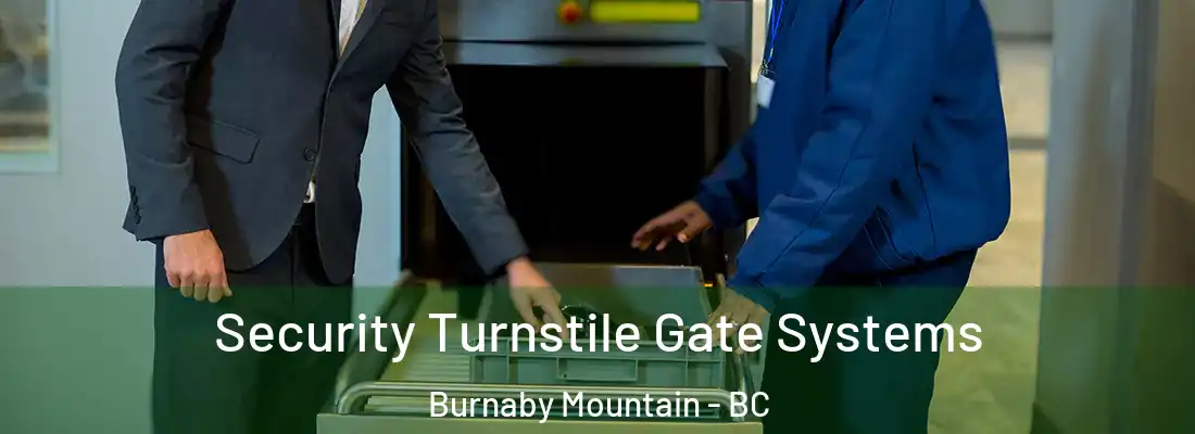  Security Turnstile Gate Systems Burnaby Mountain - BC