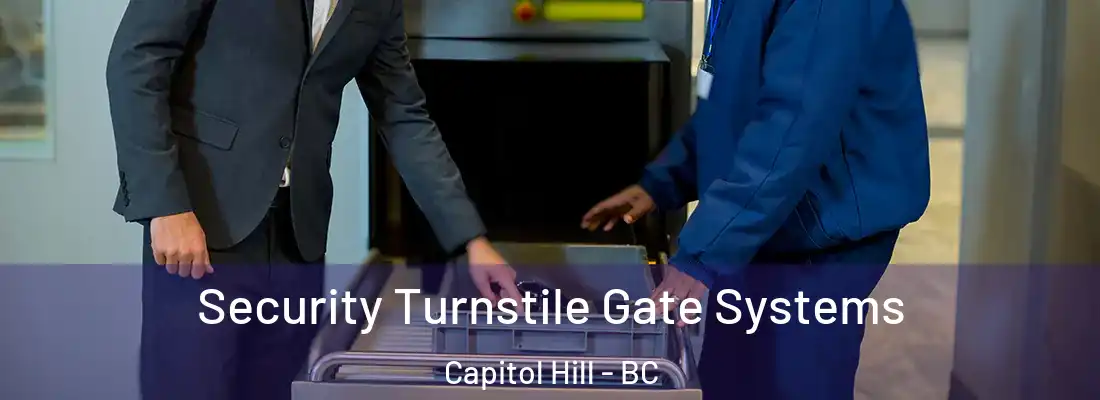 Security Turnstile Gate Systems Capitol Hill - BC