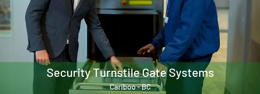  Security Turnstile Gate Systems Cariboo - BC