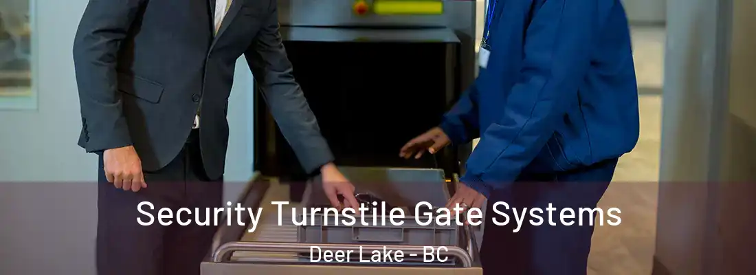  Security Turnstile Gate Systems Deer Lake - BC