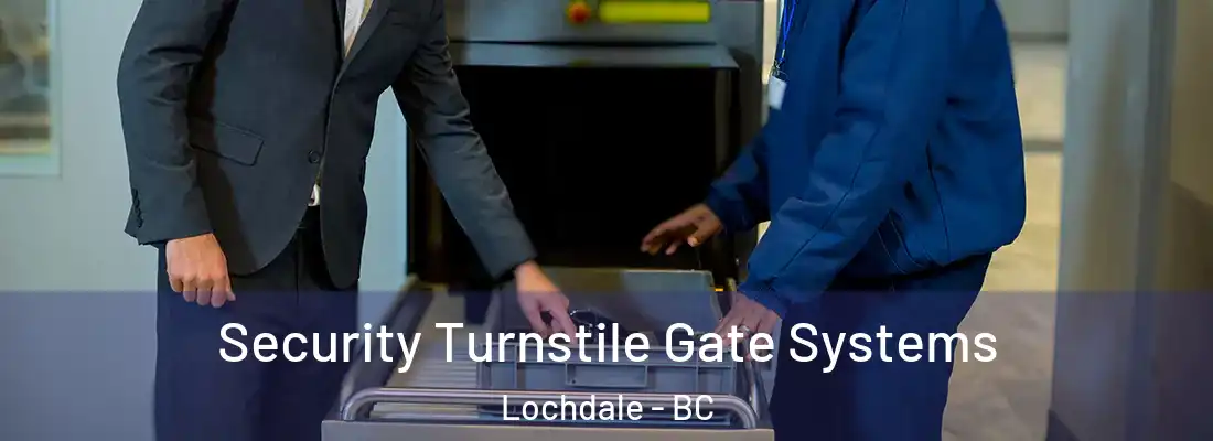  Security Turnstile Gate Systems Lochdale - BC